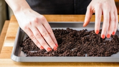 Sản phẩm là kho chứa ảnh từ web cũ KHÔNG ĐƯỢC XÓA 1