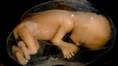 Sản phẩm là kho chứa ảnh từ web cũ KHÔNG ĐƯỢC XÓA 3