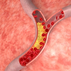 Sản phẩm là kho chứa ảnh từ web cũ KHÔNG ĐƯỢC XÓA 3