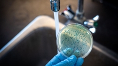 Sản phẩm là kho chứa ảnh từ web cũ KHÔNG ĐƯỢC XÓA 4