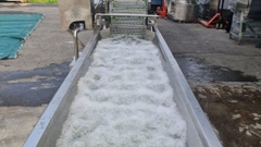 Sản phẩm là kho chứa ảnh từ web cũ KHÔNG ĐƯỢC XÓA 2