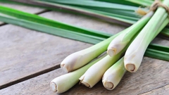 Sản phẩm là kho chứa ảnh từ web cũ KHÔNG ĐƯỢC XÓA 1