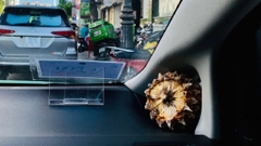 Sản phẩm là kho chứa ảnh từ web cũ KHÔNG ĐƯỢC XÓA 4