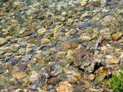 Sản phẩm là kho chứa ảnh từ web cũ KHÔNG ĐƯỢC XÓA 4