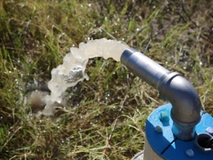 Sản phẩm là kho chứa ảnh từ web cũ KHÔNG ĐƯỢC XÓA 2