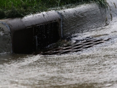 Sản phẩm là kho chứa ảnh từ web cũ KHÔNG ĐƯỢC XÓA 4