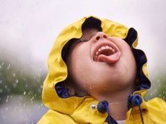 Sản phẩm là kho chứa ảnh từ web cũ KHÔNG ĐƯỢC XÓA 3