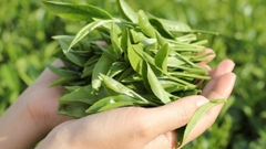 Sản phẩm là kho chứa ảnh từ web cũ KHÔNG ĐƯỢC XÓA 1