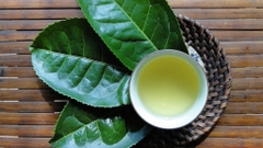 Sản phẩm là kho chứa ảnh từ web cũ KHÔNG ĐƯỢC XÓA 2