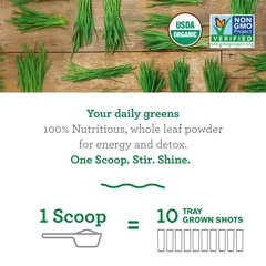 Bột cỏ lúa mì hữu cơ amazing grass organic wheatgrass powder, 480g