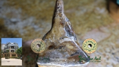 Ngọc gỗ hóa thạch PTCA19