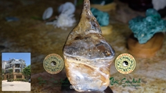 Ngọc gỗ hóa thạch PTCA19