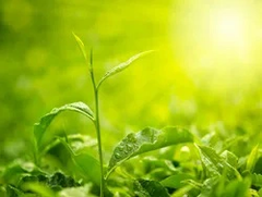 Sản phẩm là kho chứa ảnh từ web cũ KHÔNG ĐƯỢC XÓA 4