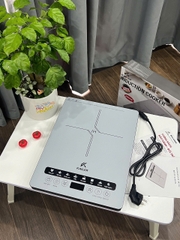 Bếp từ xanh KL-1106