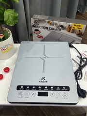 Bếp từ xanh KL-1106