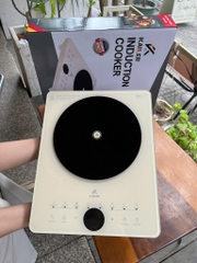 Bếp từ Kailer (6c/t), KL-1102