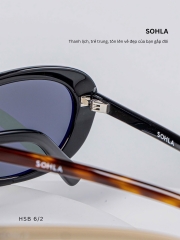 GỌNG KÍNH, HIỆU SOHLA, MÃ: HSB615