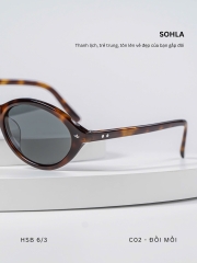 GỌNG KÍNH, HIỆU SOHLA, MÃ: HSB613
