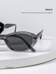 GỌNG KÍNH, HIỆU SOHLA, MÃ: HSB611