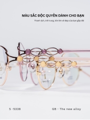 GỌNG KÍNH, HIỆU GB, MÃ: 5338