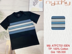 ATFCTS1-195