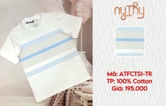 ATFCTS1-195
