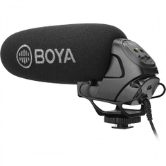 Boya-BY-BM3031