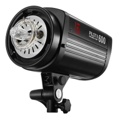 Đèn flash Jinbei Pilot II 600