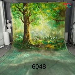 Phông loang 3 x 6m Y6048