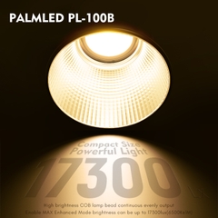 Đèn led Tolifo PL-100B - PALM LED