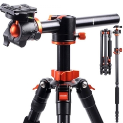 Chân máy ảnh K&F Concept T254A4+BH-28L(SA254T2)