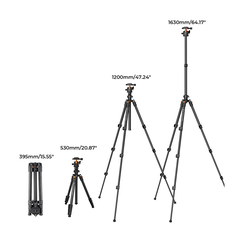 Chân máy ảnh K&F Concept K234A0+ BH-28L + phone holder