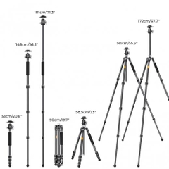 Chân máy ảnh K&F Concept X254C4+BH-30L Carbon 12Kg (KF09.116)
