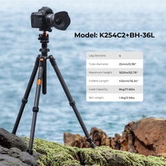 Chân máy ảnh K&F Concept K254C2+BH-36L Sợi Carbon