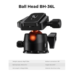 Chân máy ảnh K&F Concept K254C2+BH-36L Sợi Carbon KF09.123