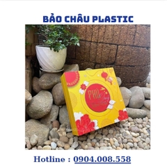 HỘP ĐỰNG QUÀ TẾT CÓ KÈM TÚI