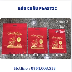10 Túi Vải Không Dệt Chúc Mừng Năm Mới