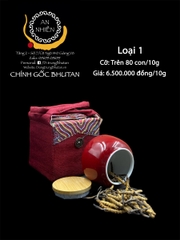Đông trùng Bhutan loại 1
