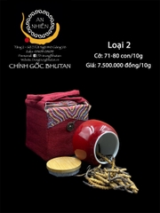 Đông trùng Bhutan loại 2