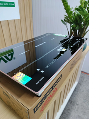 Bếp từ đôi DVA 198IC_Made in Việt Nam