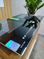 Bếp từ đôi DVA TE 888IC_Made in Việt Nam