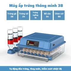Máy ấp trứng mini ấp trứng gà tự động ấp trứng gia đình 220V VS 12V MAT