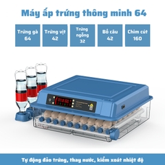 Máy ấp trứng mini ấp trứng gà tự động ấp trứng gia đình 220V VS 12V MAT