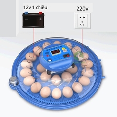 Máy ấp trứng gà thông minh tự đảo thế hệ mới ấp trứng chim bồ câu gà đá
