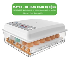 Máy ấp trứng mini ấp trứng gà tự động ấp trứng gia đình 220V VS 12V MAT