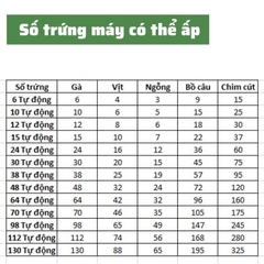 Máy ấp trứng gà mini tự động thông minh ấp trứng gà, chim, bò sát DN63