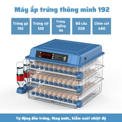 Máy ấp trứng mini ấp trứng gà tự động ấp trứng gia đình 220V VS 12V MAT