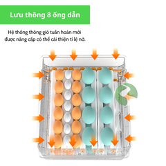 Máy ấp trứng gà mini, máy ấp trứng tự động đảo trứng, 03 sử dụng 220v&12v