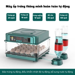Máy ấp trứng mini ấp trứng gà tự động ấp trứng gia đình 220V VS 12V MAT