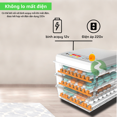 Máy ấp trứng gà mini, máy ấp trứng tự động đảo trứng, 03 sử dụng 220v&12v